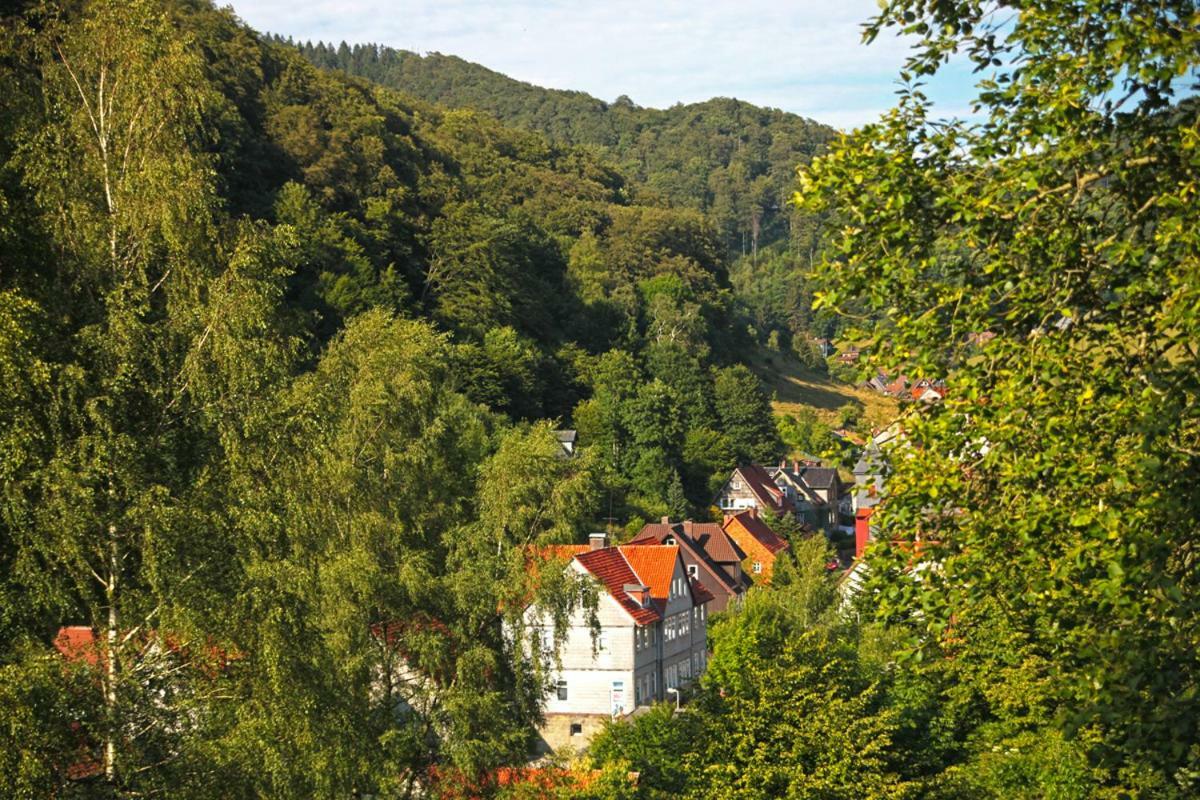 Fewo-Lerbachtal Osterode am Harz Экстерьер фото