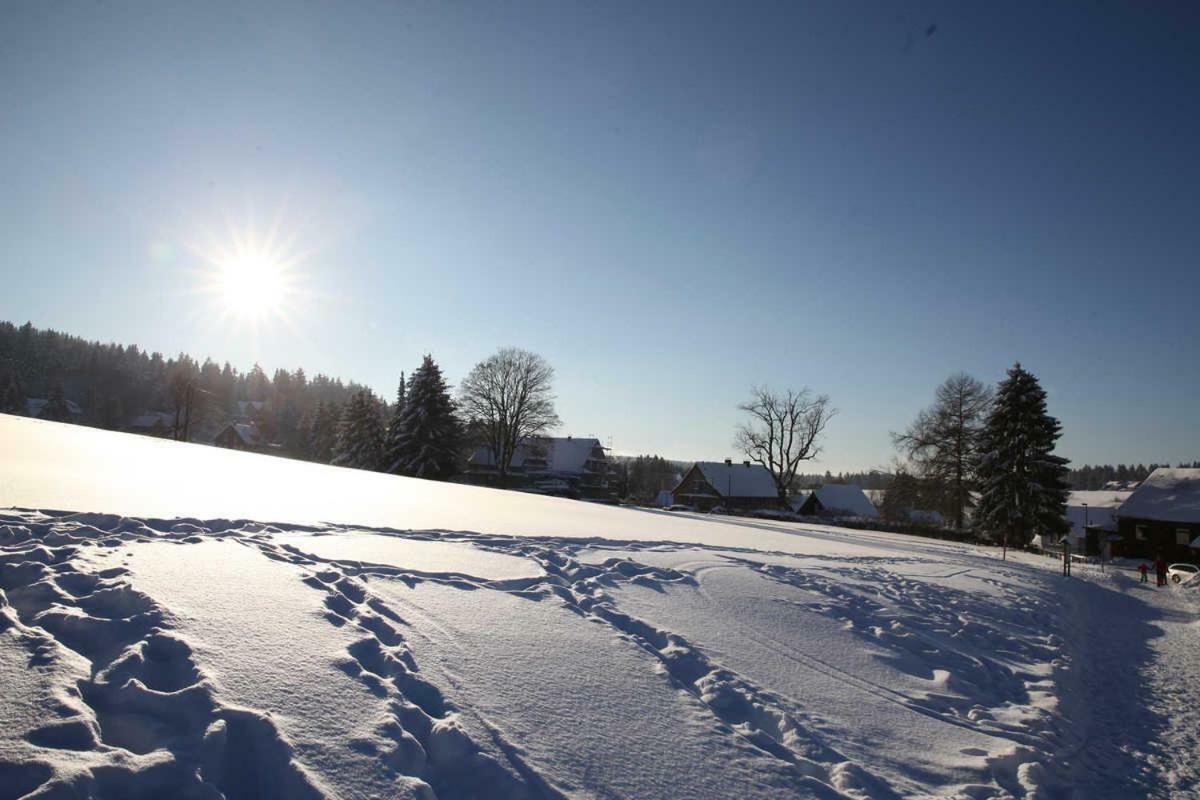 Fewo-Lerbachtal Osterode am Harz Экстерьер фото